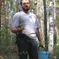 galayko