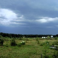 Dima08