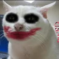 antonik82